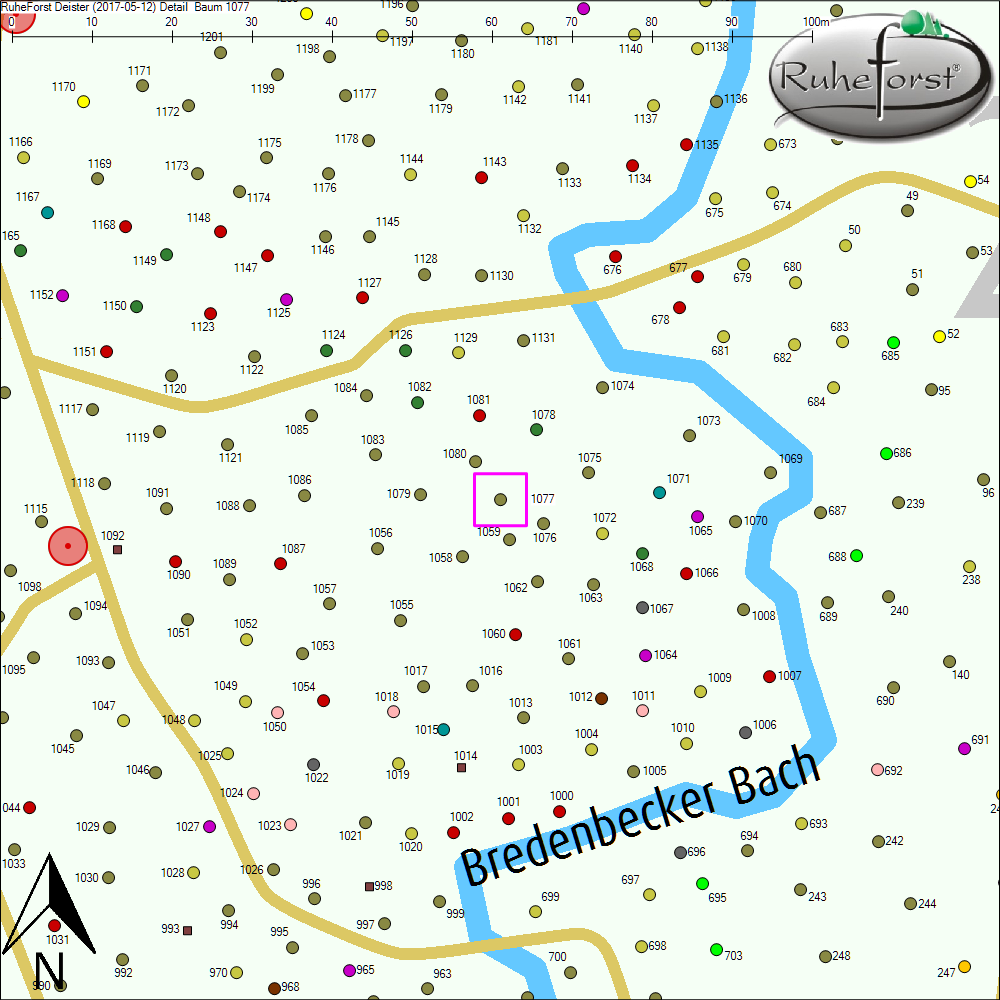 Detailkarte zu Baum 1077