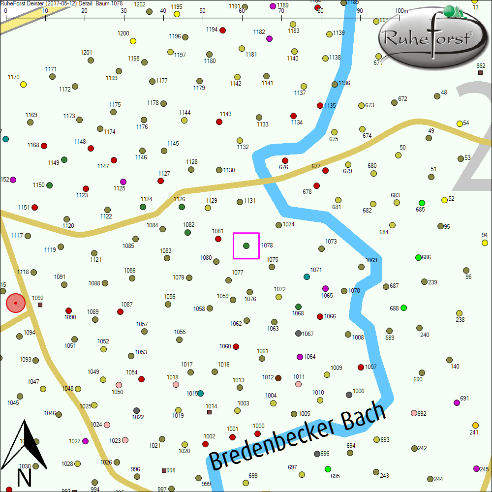 Detailkarte zu Baum 1078