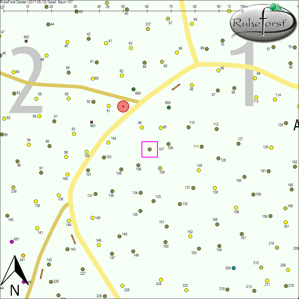 Detailkarte zu Baum 107