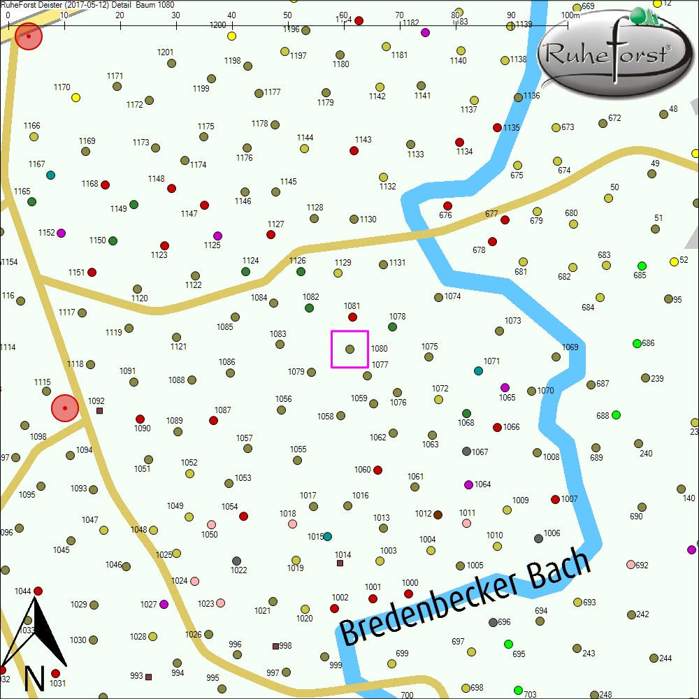 Detailkarte zu Baum 1080