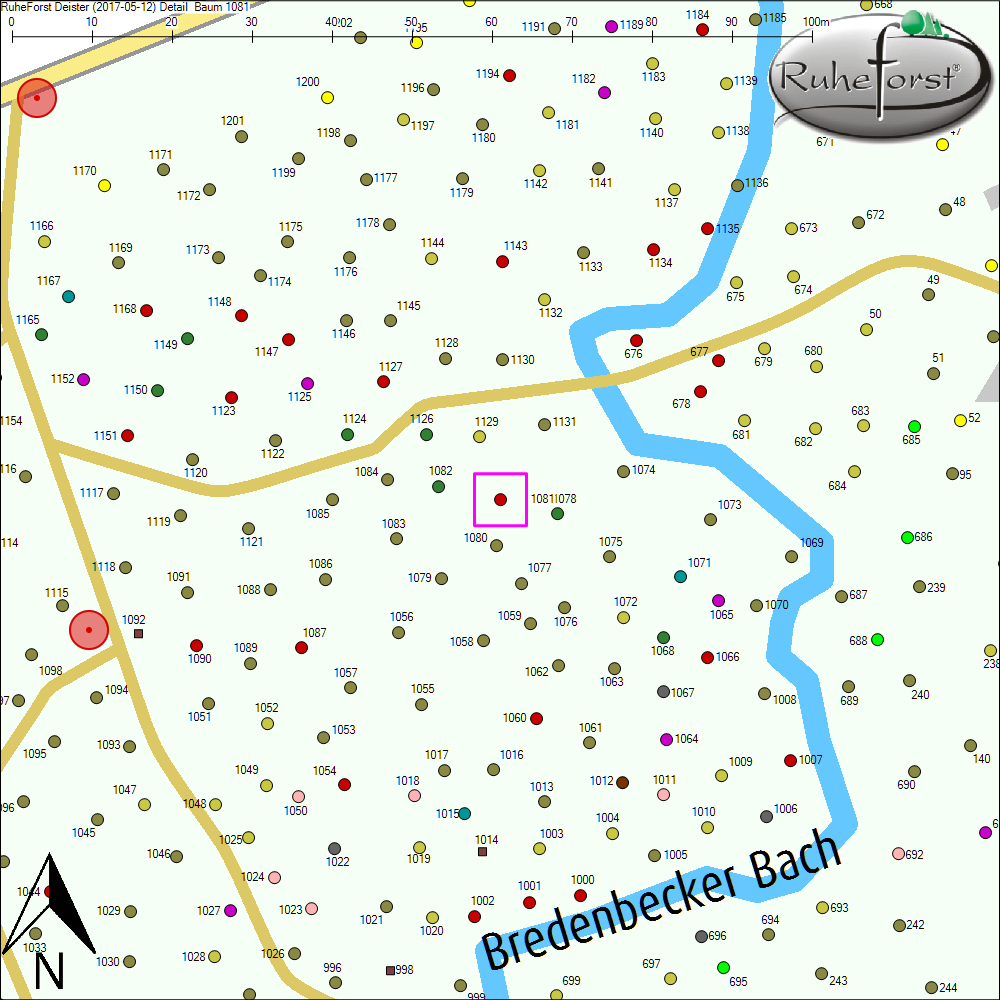 Detailkarte zu Baum 1081
