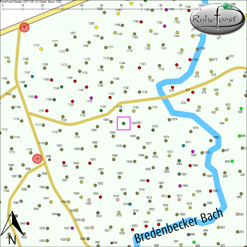Detailkarte zu Baum 1082