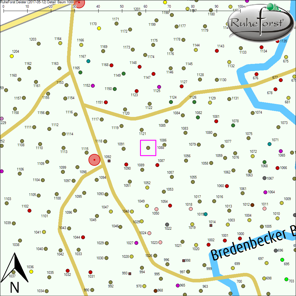 Detailkarte zu Baum 1088