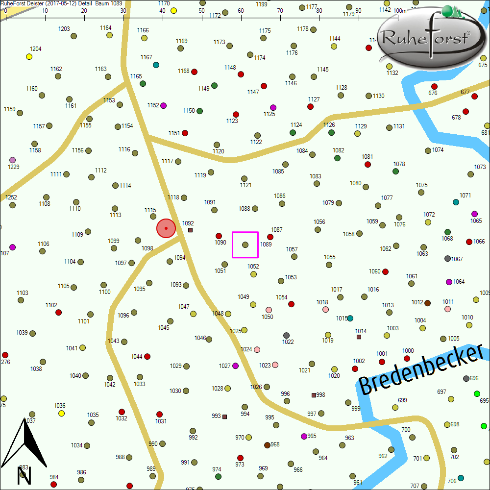 Detailkarte zu Baum 1089