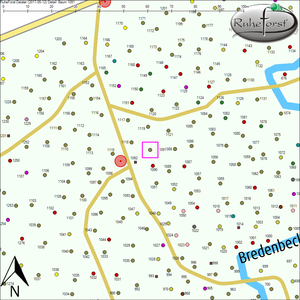 Detailkarte zu Baum 1091