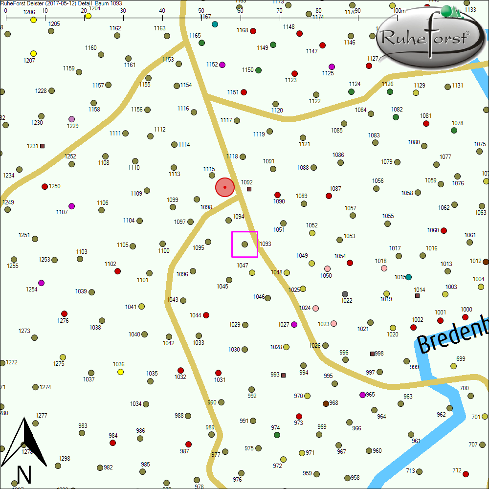 Detailkarte zu Baum 1093