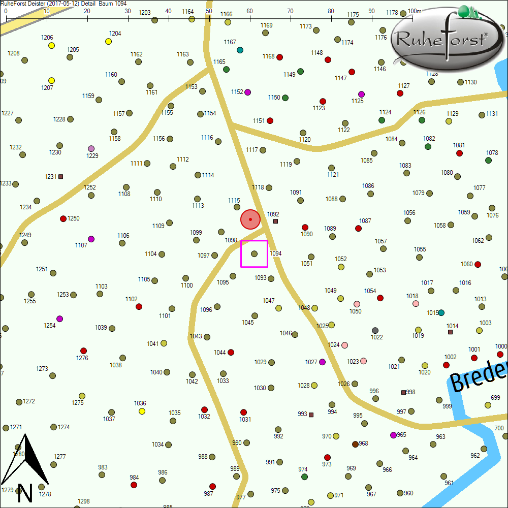 Detailkarte zu Baum 1094