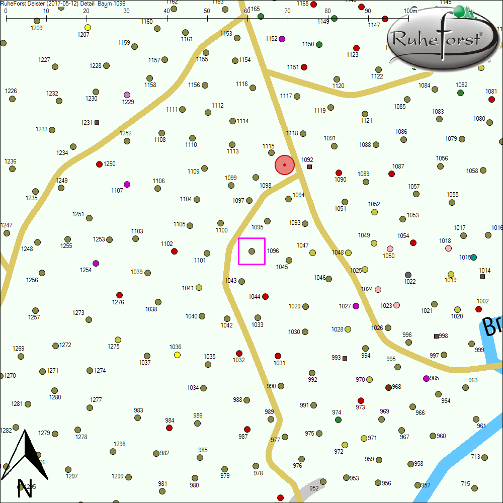 Detailkarte zu Baum 1096