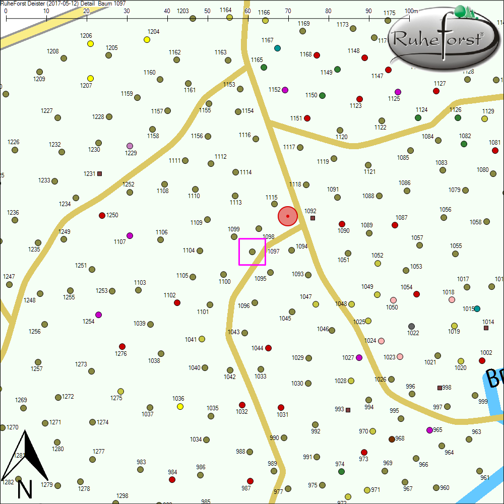 Detailkarte zu Baum 1097