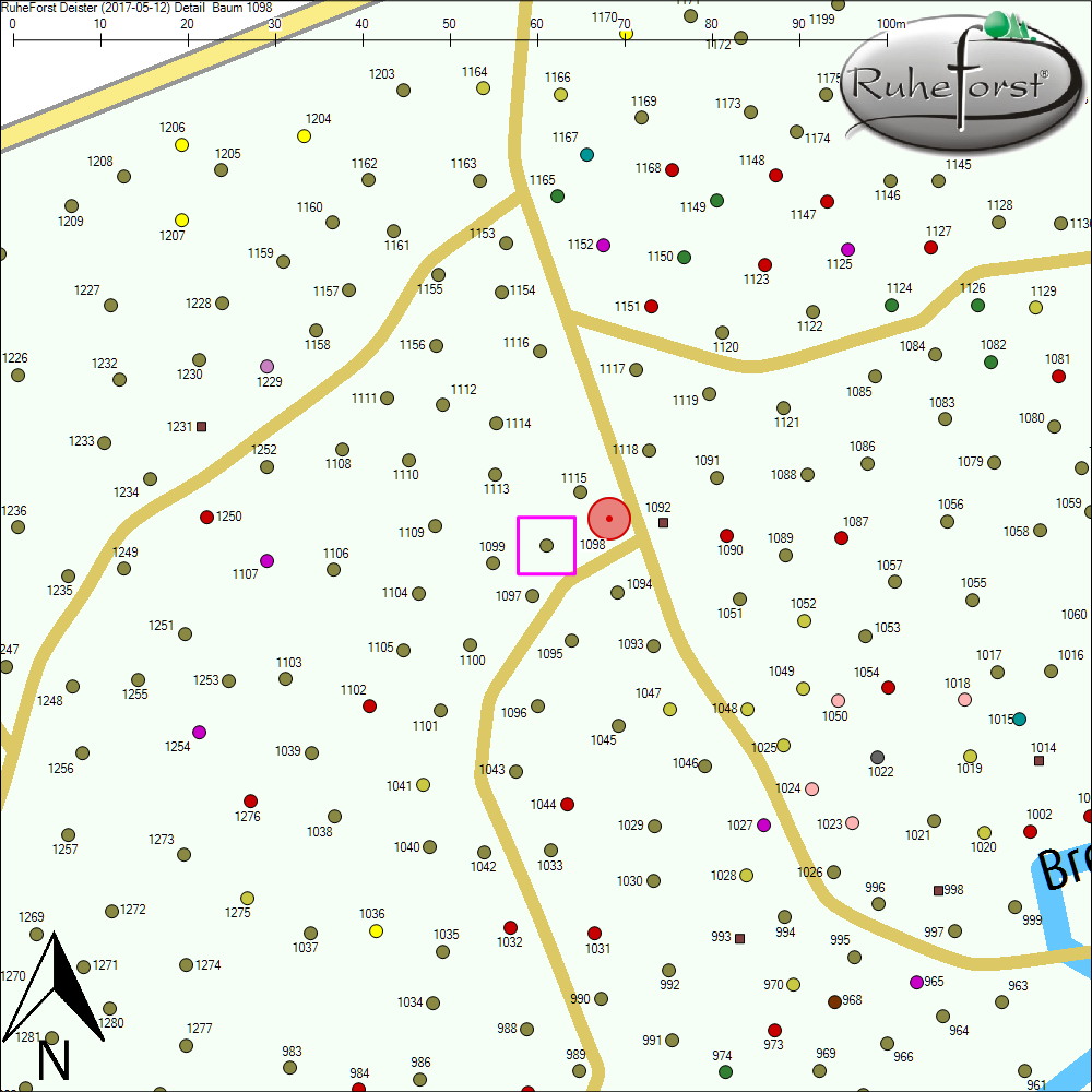 Detailkarte zu Baum 1098