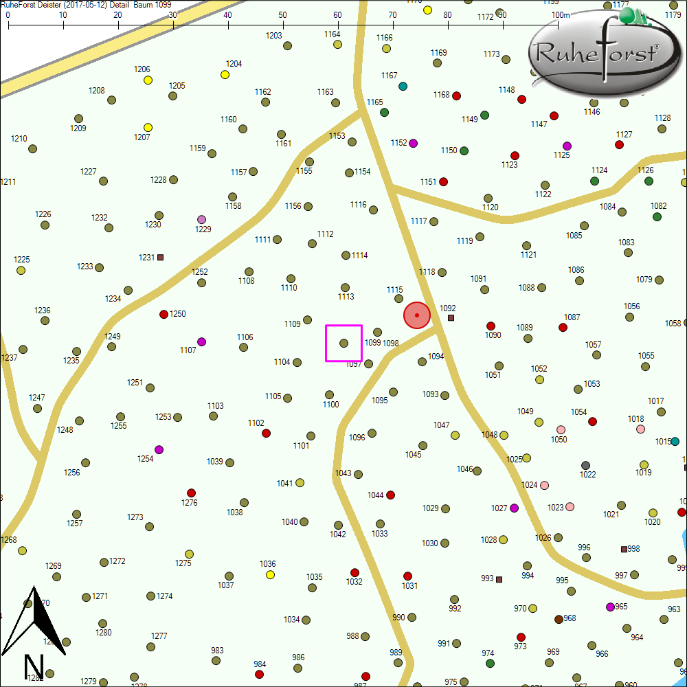 Detailkarte zu Baum 1099