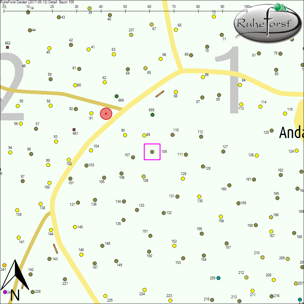 Detailkarte zu Baum 109