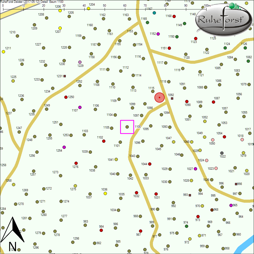 Detailkarte zu Baum 1100