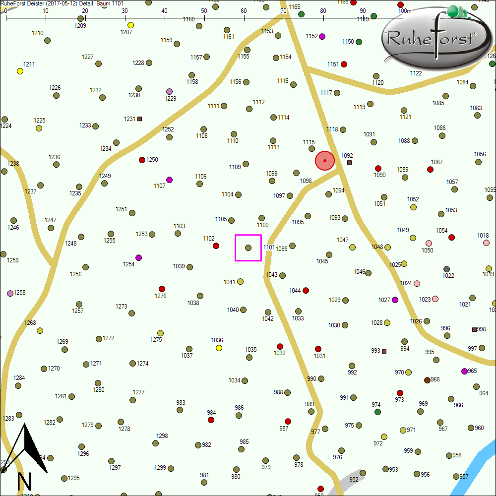 Detailkarte zu Baum 1101