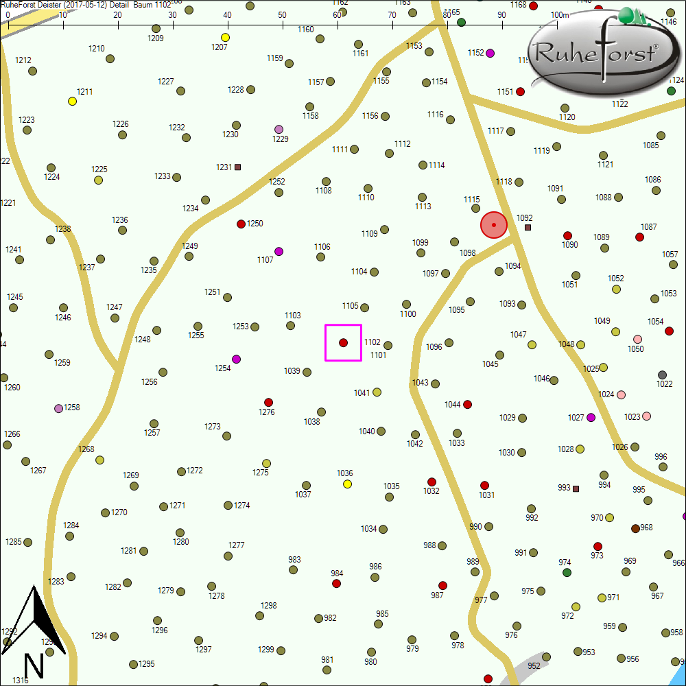 Detailkarte zu Baum 1102