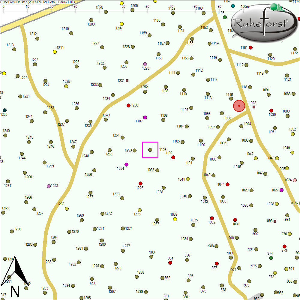 Detailkarte zu Baum 1103