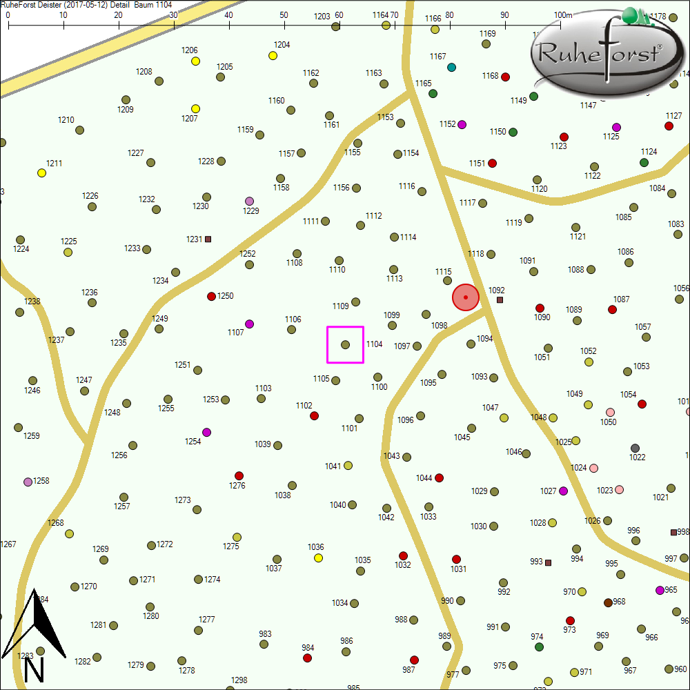Detailkarte zu Baum 1104