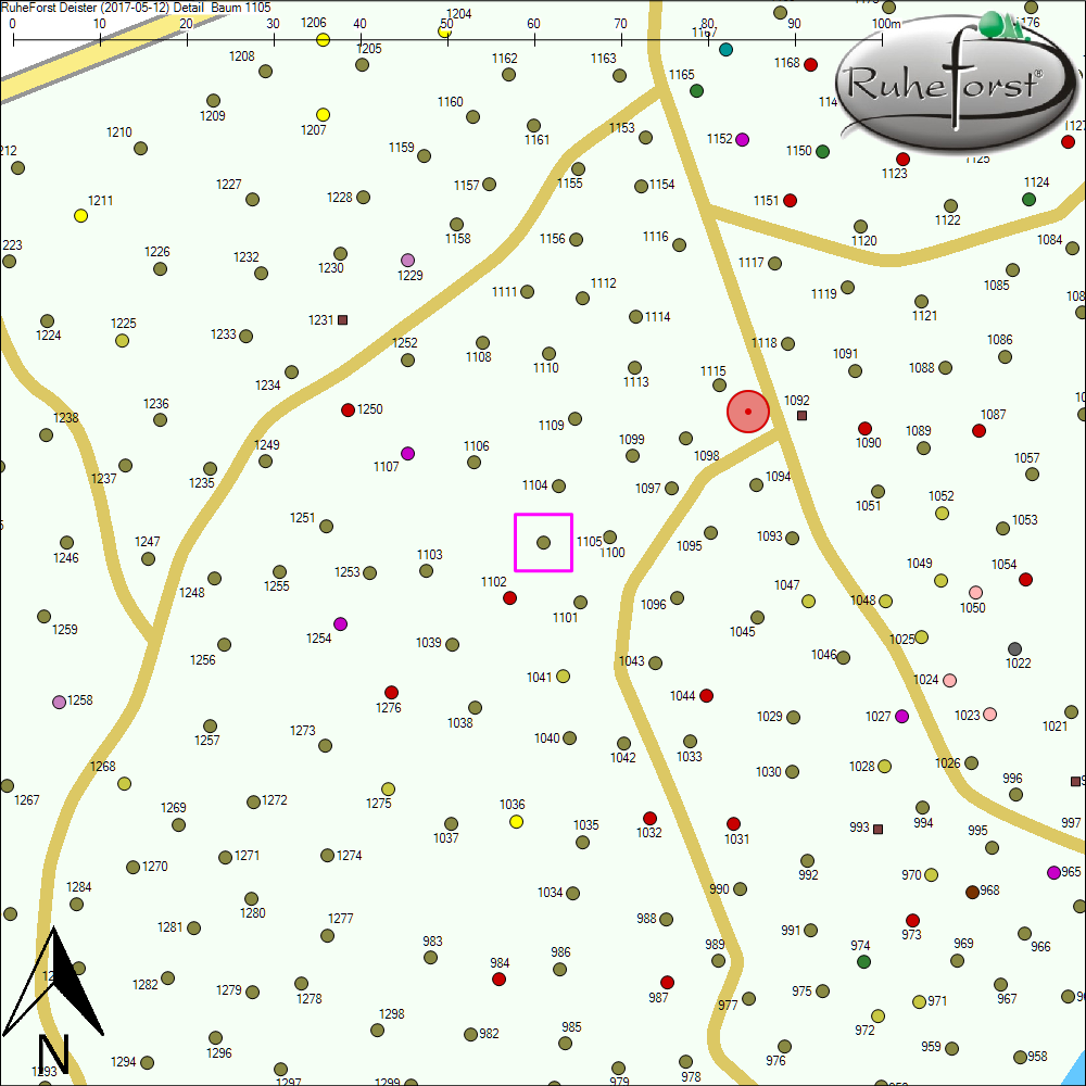Detailkarte zu Baum 1105