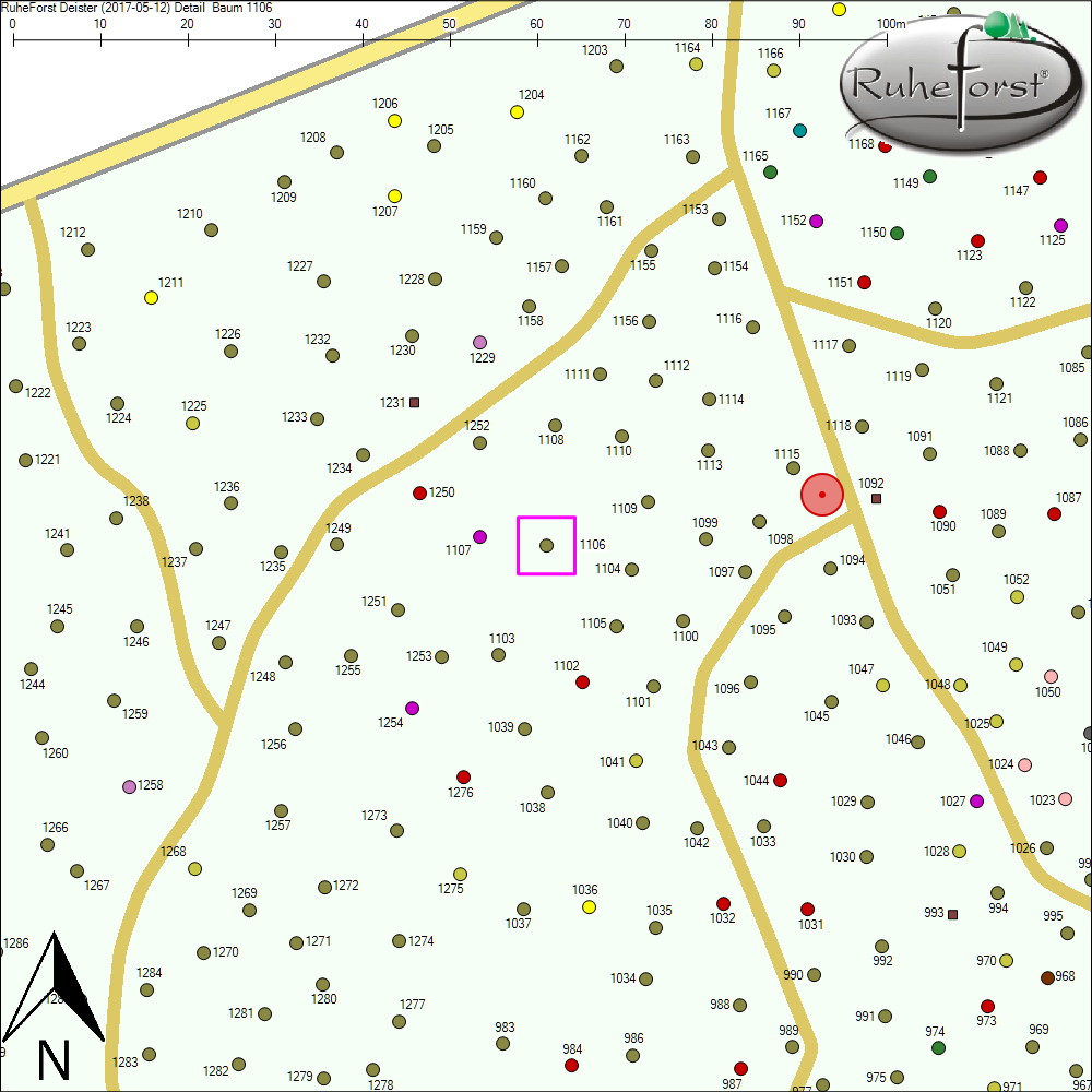 Detailkarte zu Baum 1106