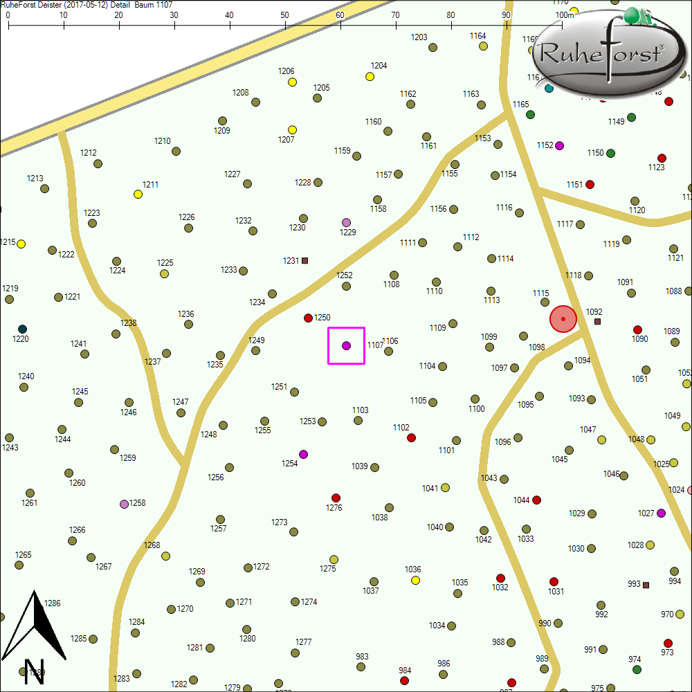 Detailkarte zu Baum 1107