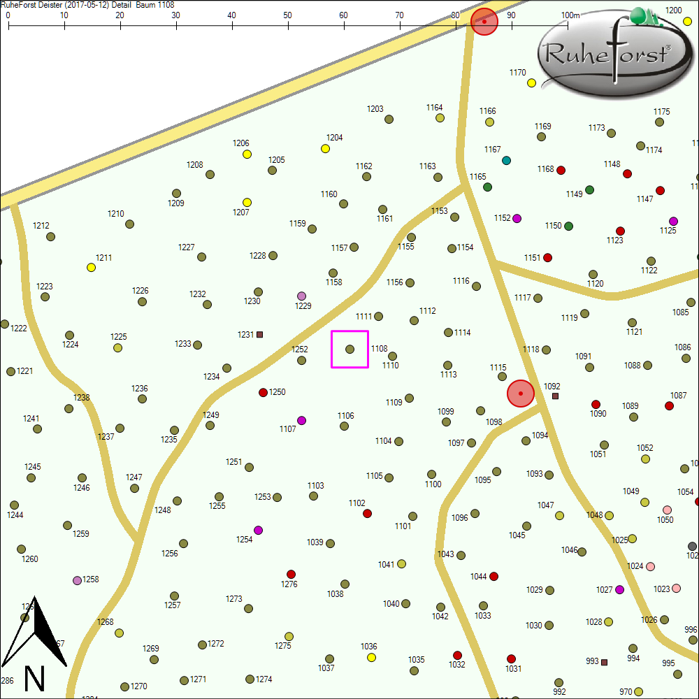 Detailkarte zu Baum 1108