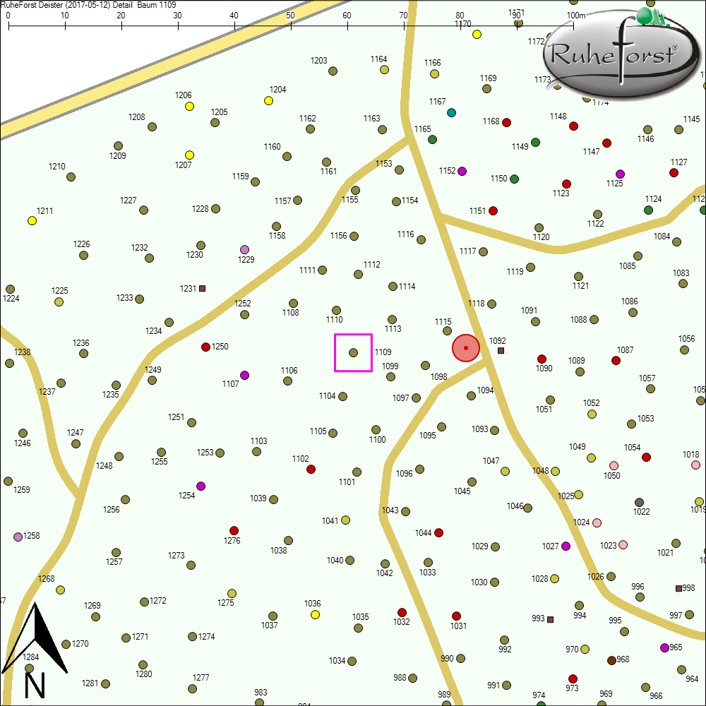 Detailkarte zu Baum 1109