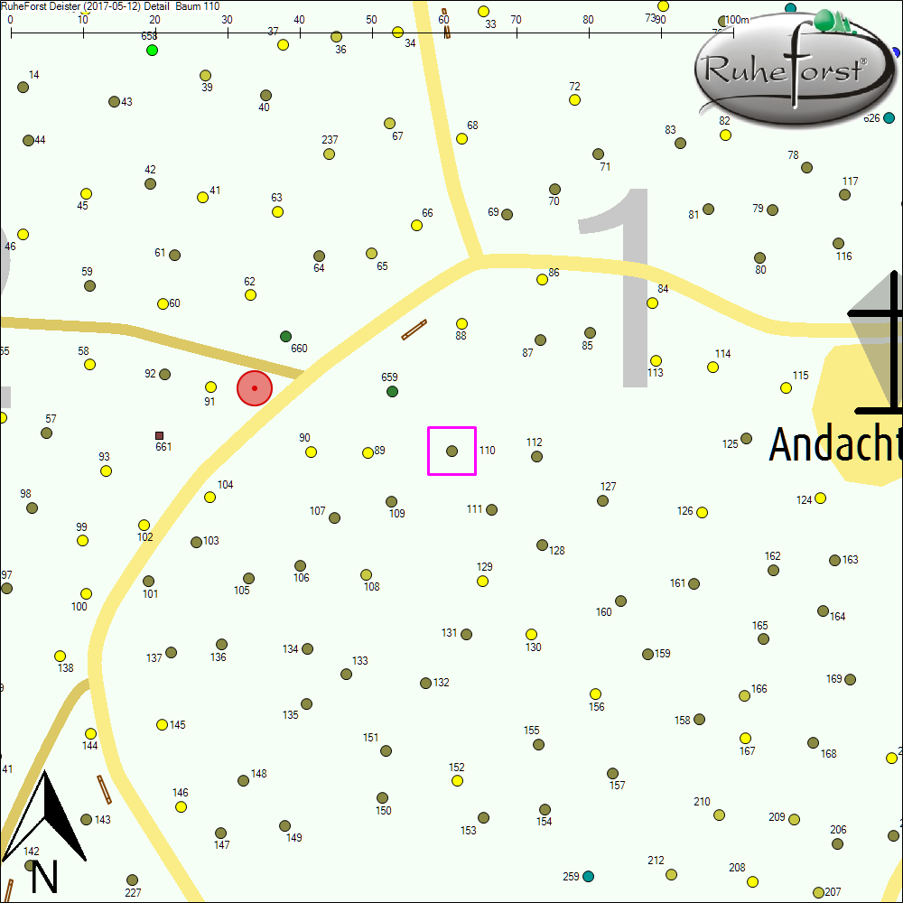 Detailkarte zu Baum 110