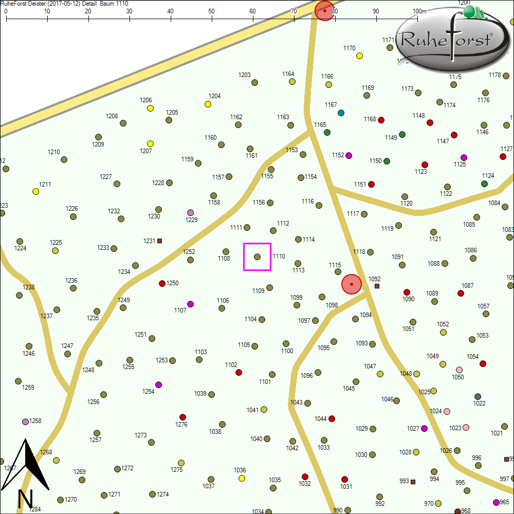 Detailkarte zu Baum 1110