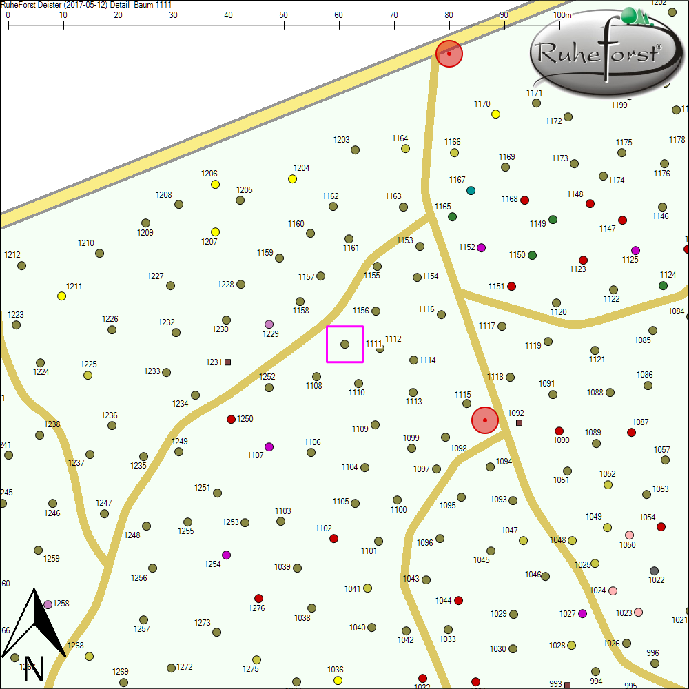 Detailkarte zu Baum 1111
