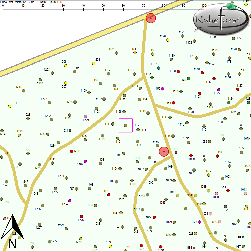 Detailkarte zu Baum 1112