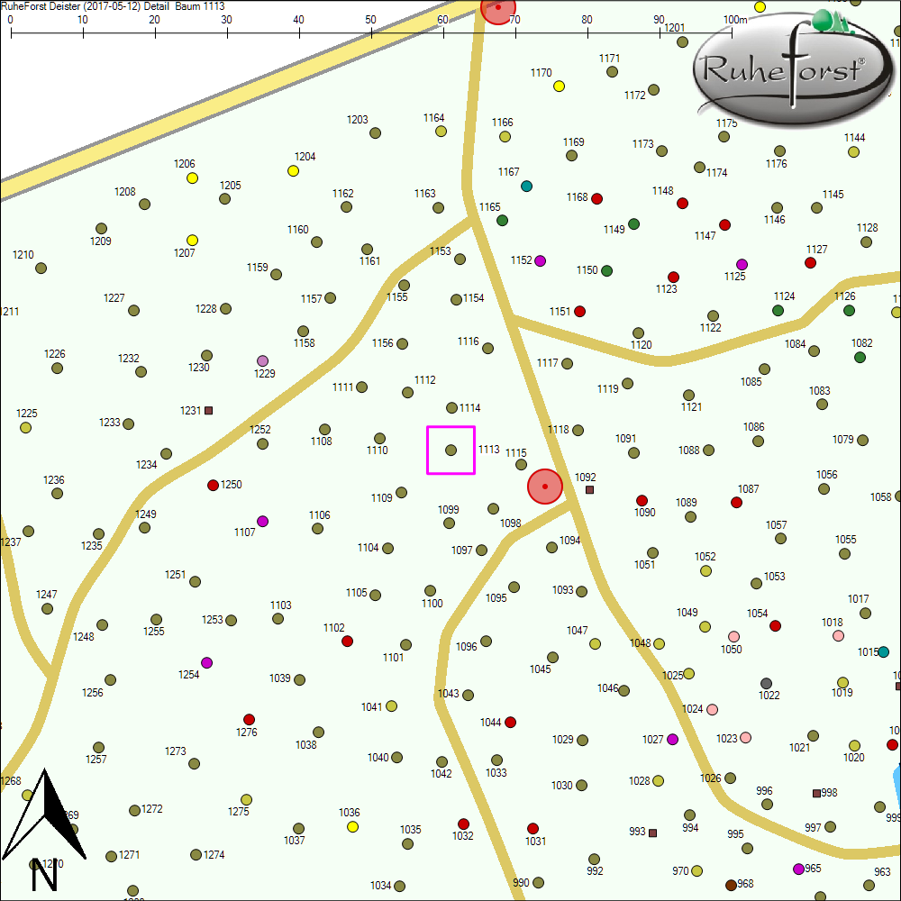 Detailkarte zu Baum 1113