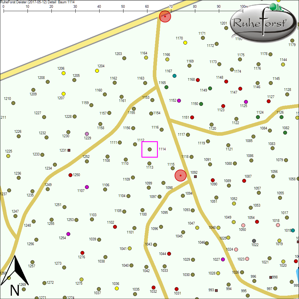 Detailkarte zu Baum 1114
