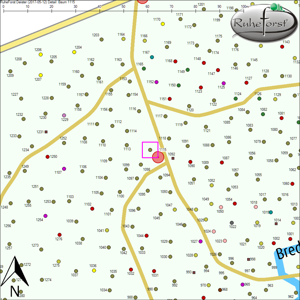 Detailkarte zu Baum 1115