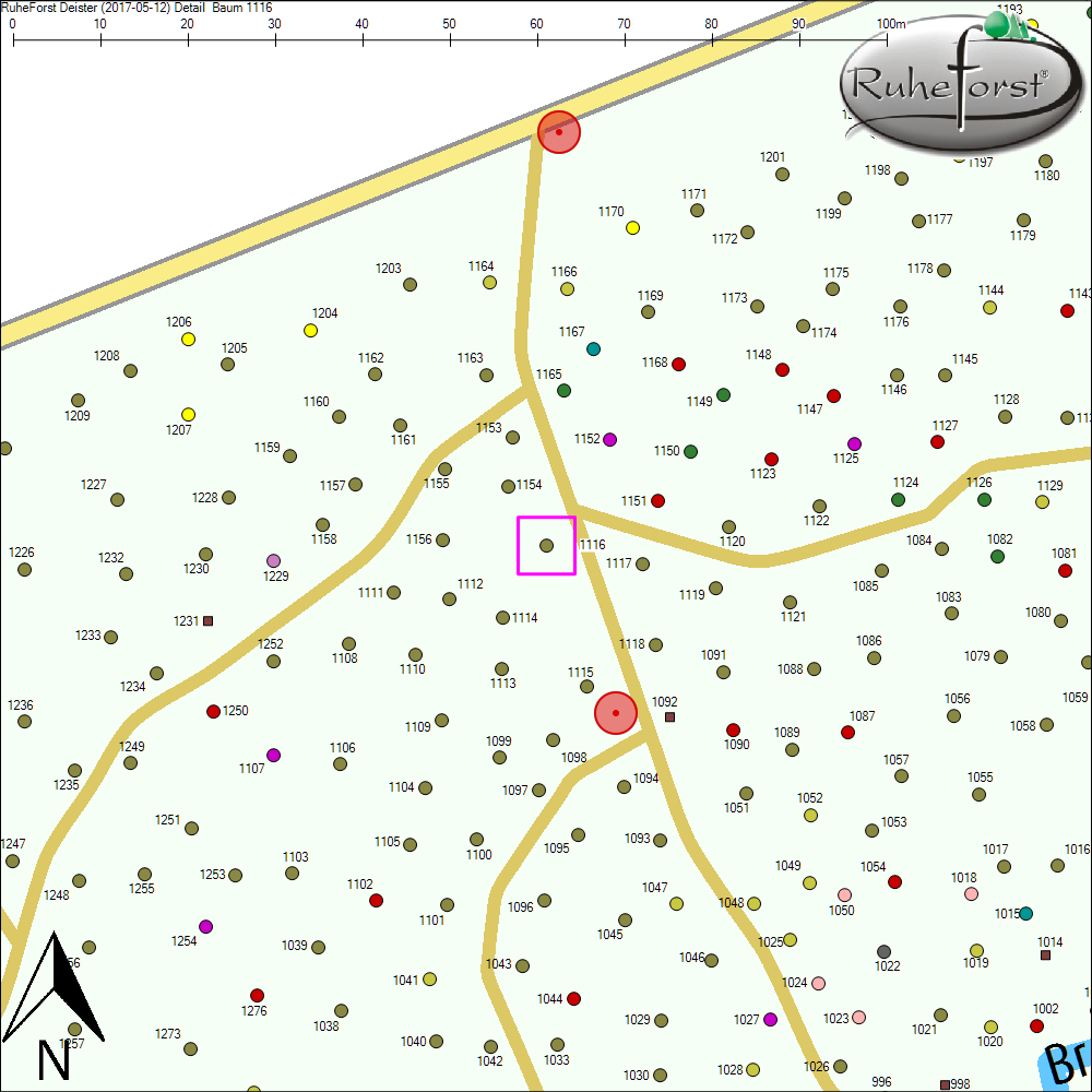Detailkarte zu Baum 1116