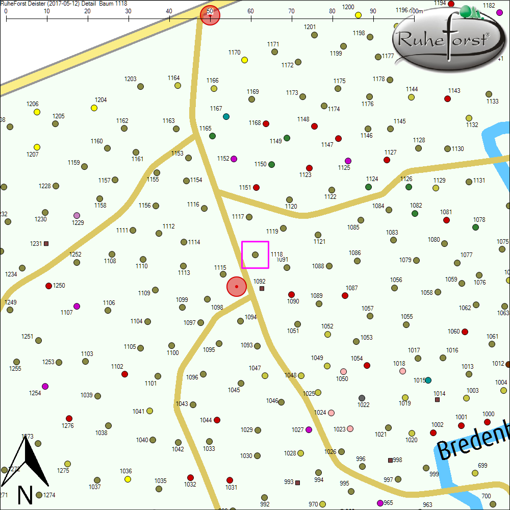 Detailkarte zu Baum 1118
