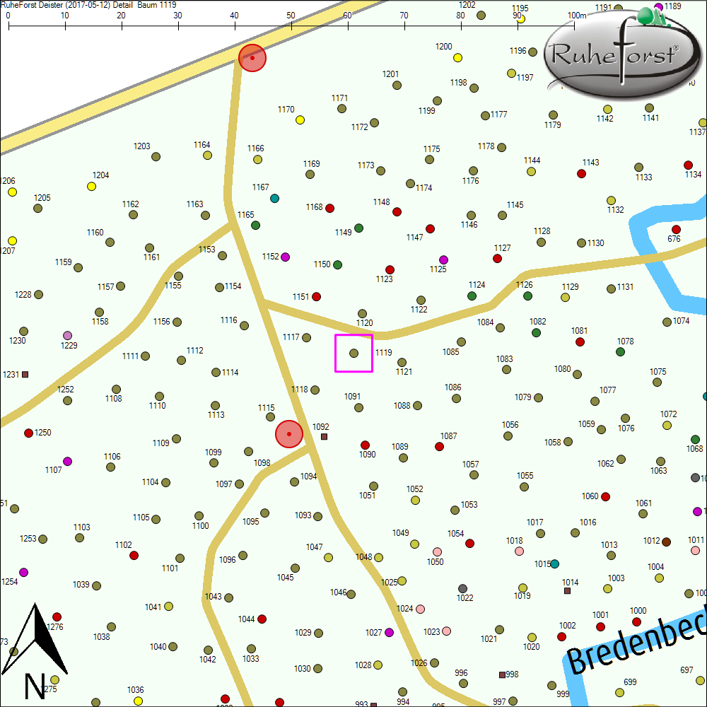 Detailkarte zu Baum 1119