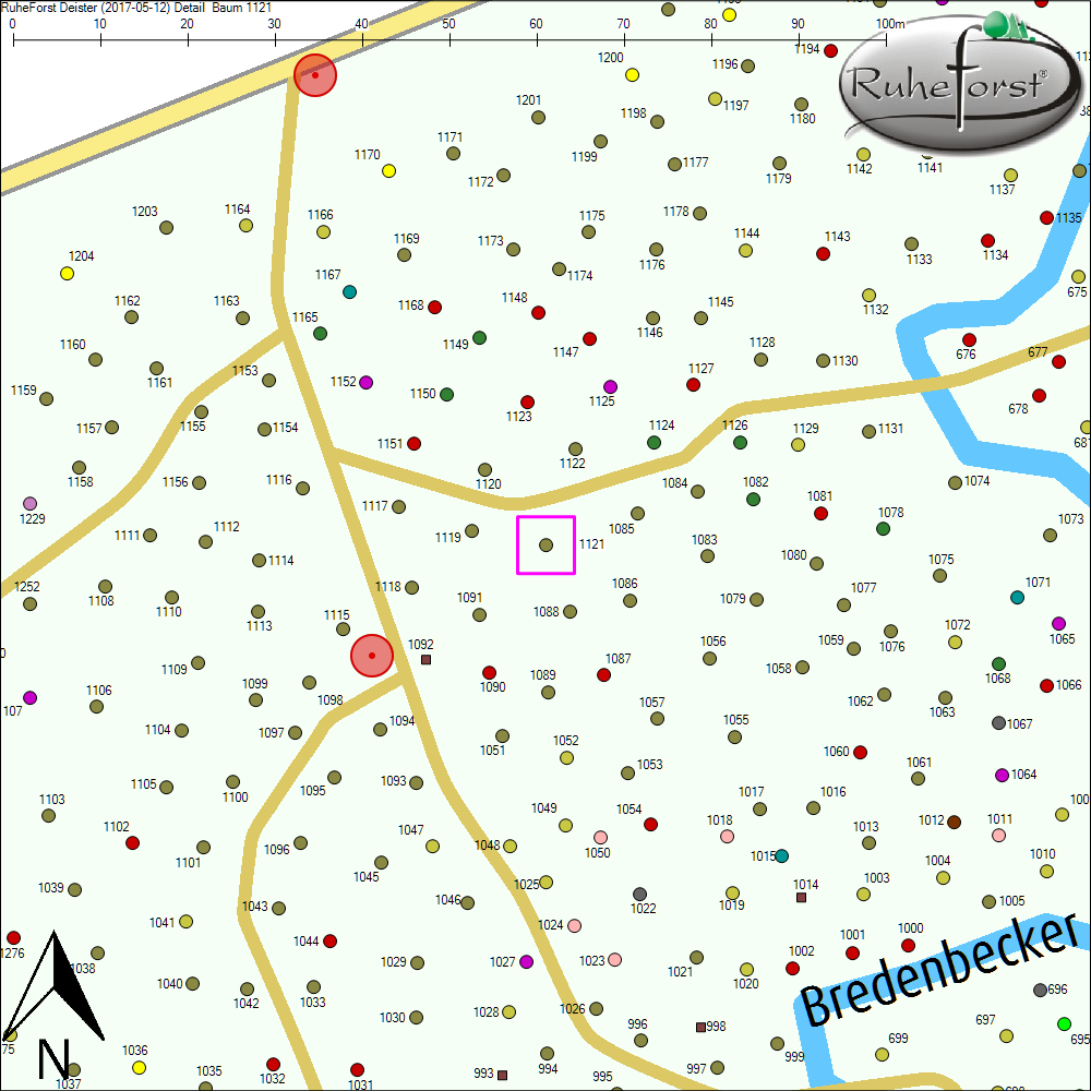 Detailkarte zu Baum 1121