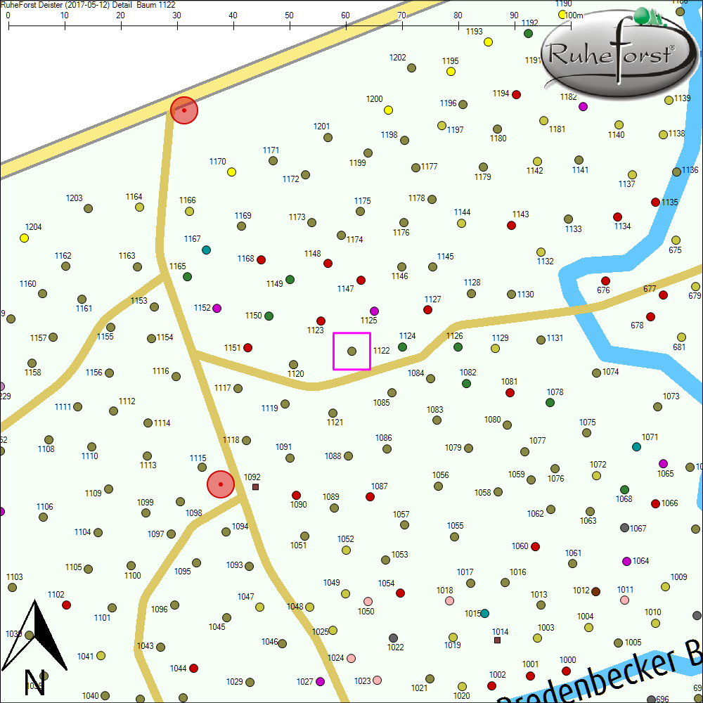 Detailkarte zu Baum 1122