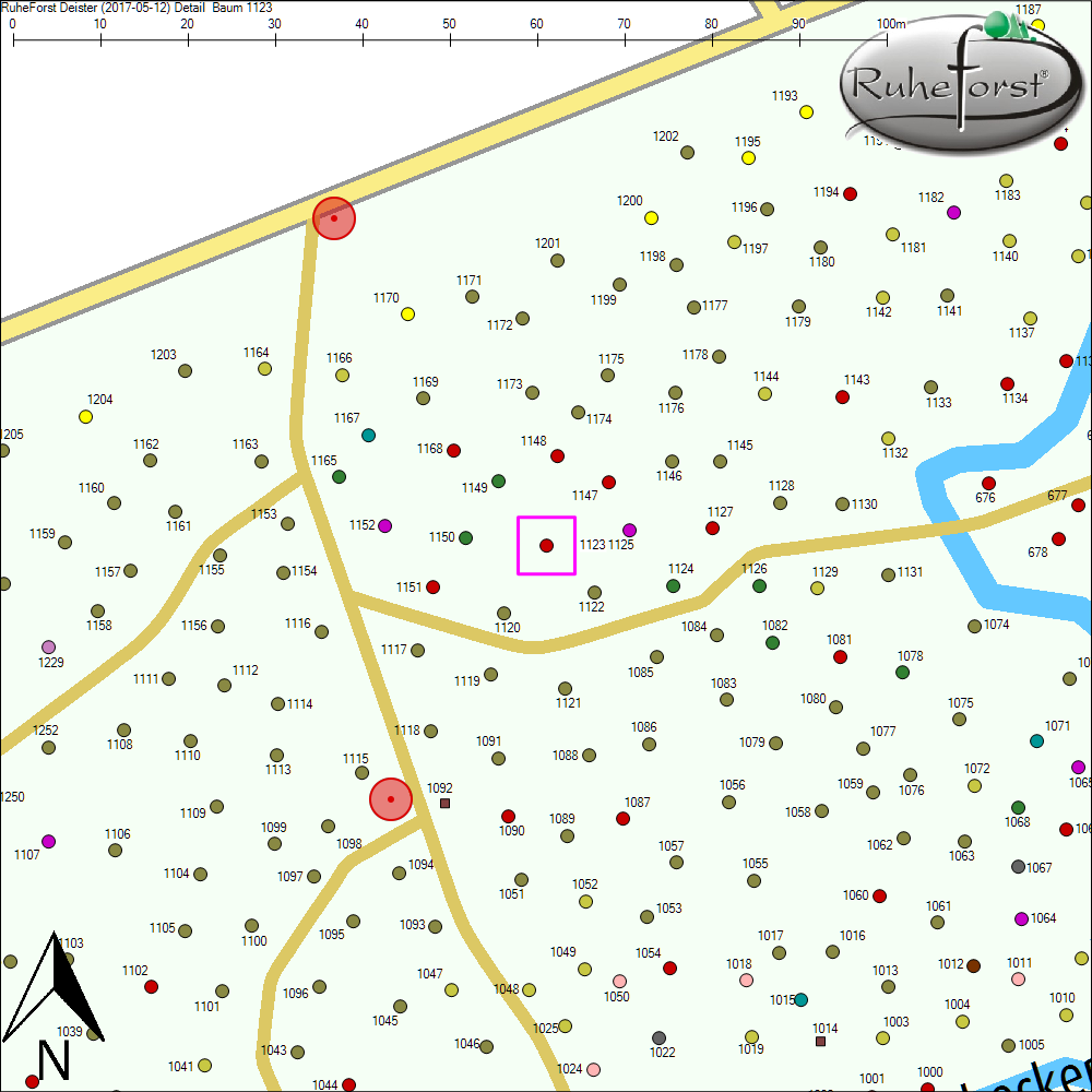 Detailkarte zu Baum 1123