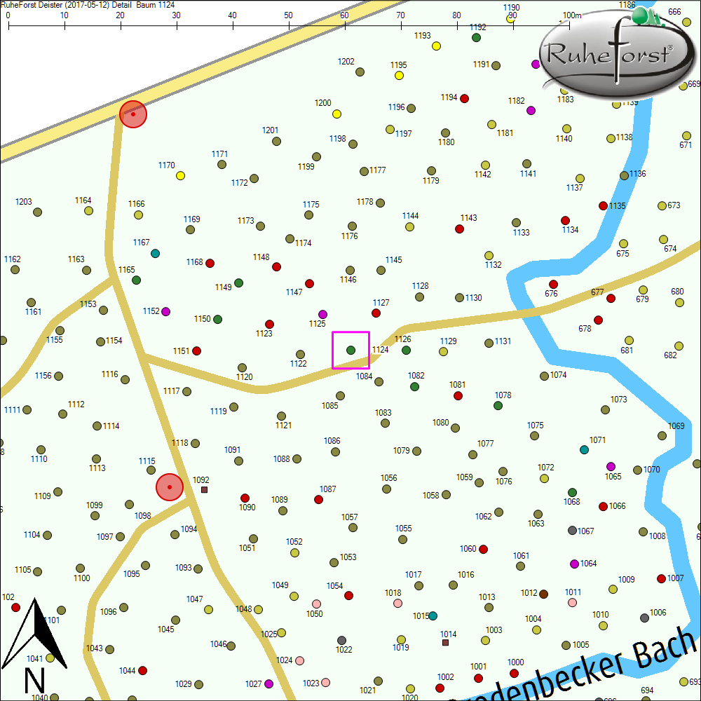 Detailkarte zu Baum 1124