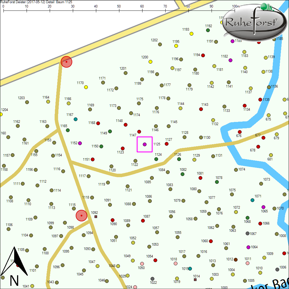 Detailkarte zu Baum 1125