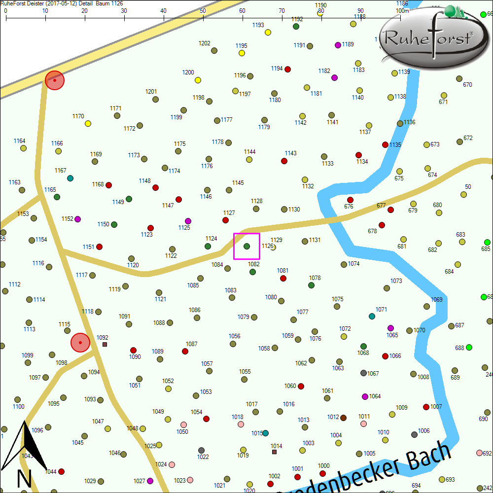 Detailkarte zu Baum 1126