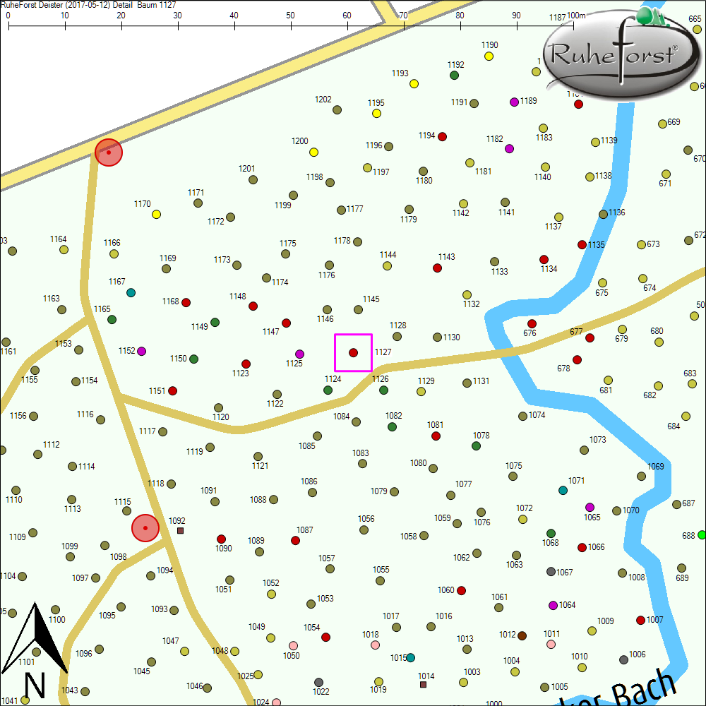 Detailkarte zu Baum 1127