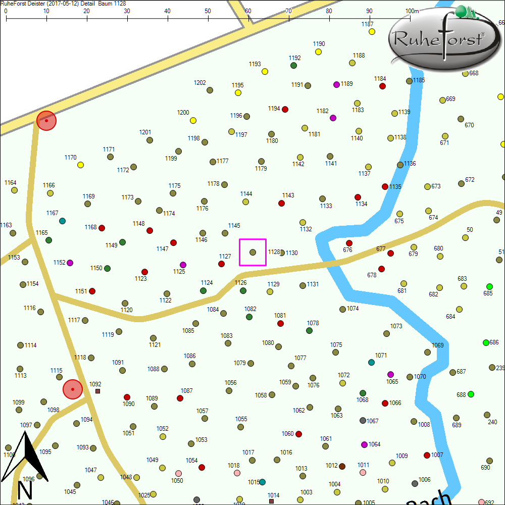 Detailkarte zu Baum 1128