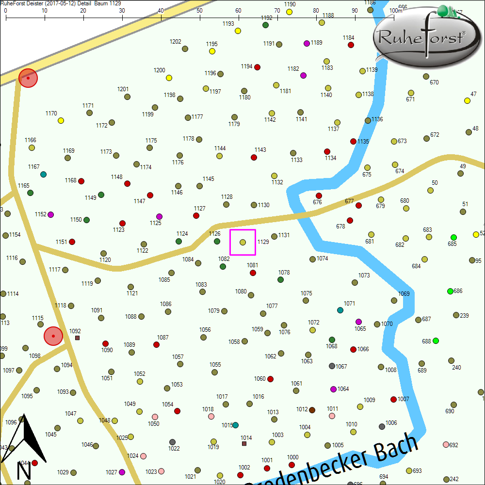 Detailkarte zu Baum 1129