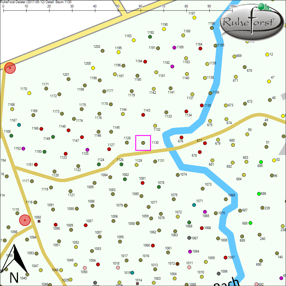 Detailkarte zu Baum 1130