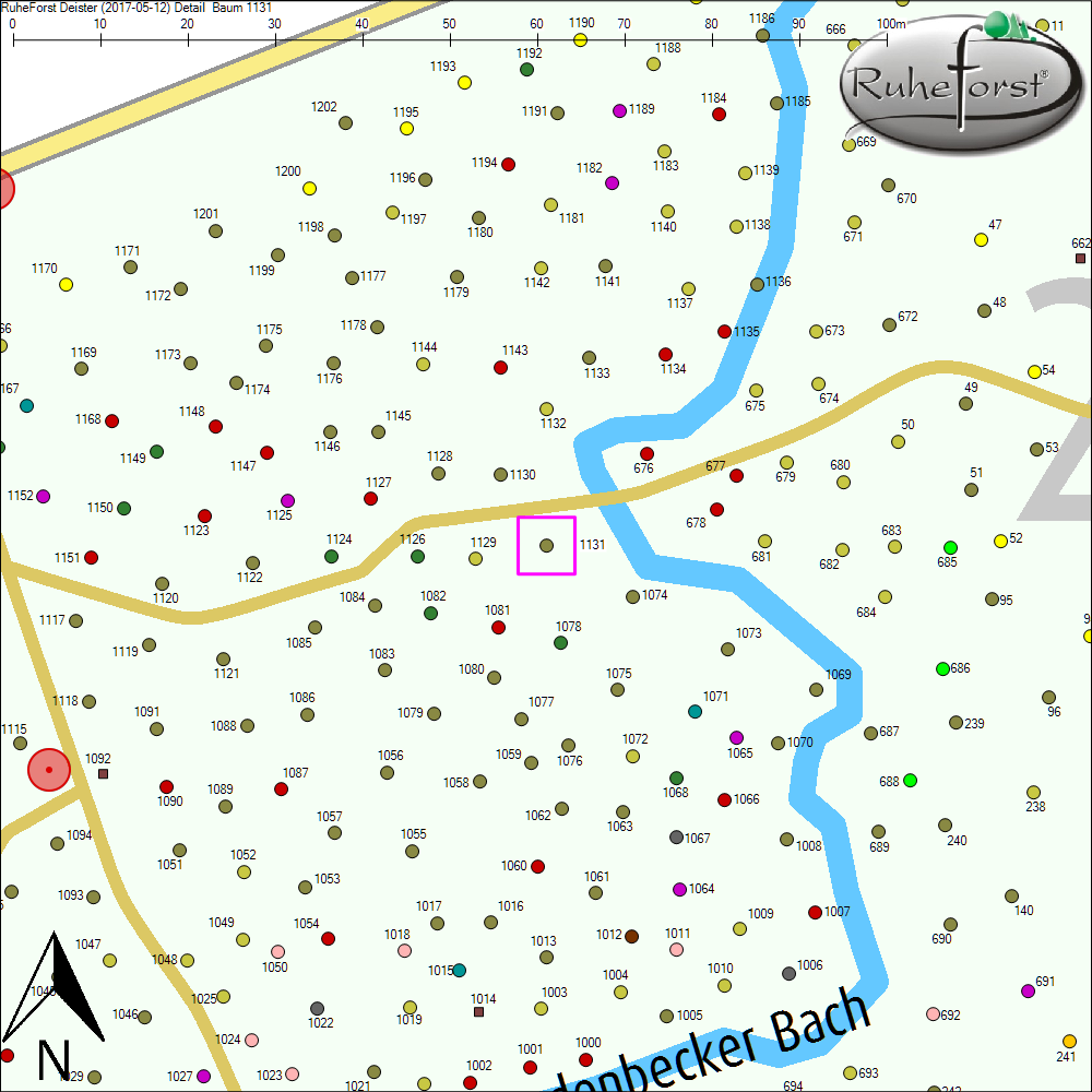 Detailkarte zu Baum 1131