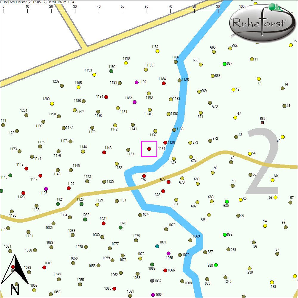 Detailkarte zu Baum 1134