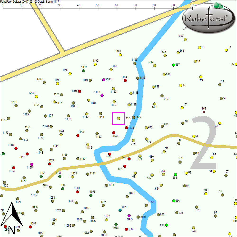 Detailkarte zu Baum 1137