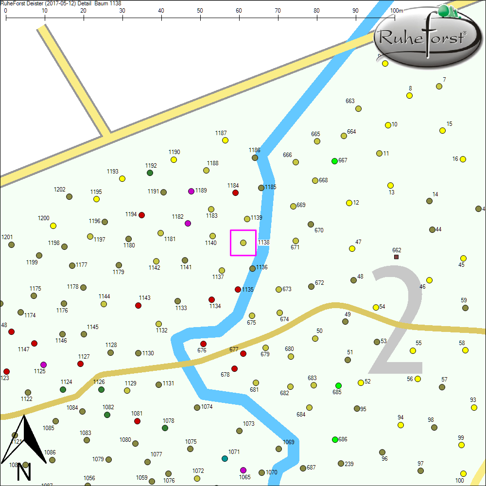 Detailkarte zu Baum 1138